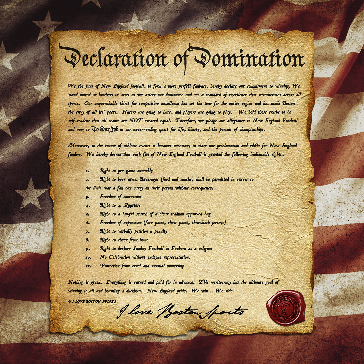 Declaration Of Domination Wall Print