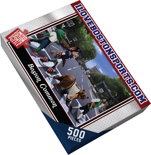 Boston Common RMX Puzzle